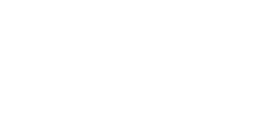 Logo Wild Mice Media