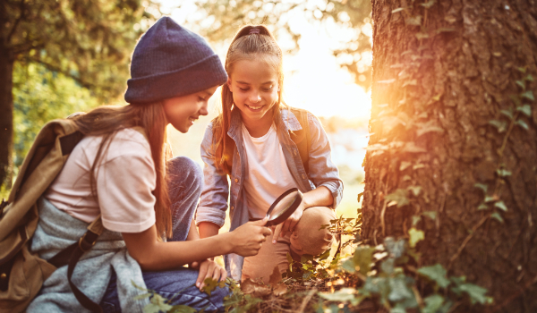 Basisschool leerlingen onderzoeken de fauna bij een boom tijdens een natuur excursie. - Oxtarn Natuur Excursie