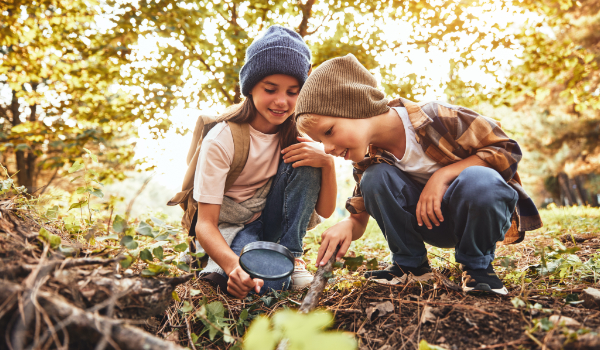 Basisschool leerlingen met vergrootglas op zoek naar de incecten. - Oxtarn Natuur Excursie Basisschool leerlingen met vergrootglas op zoek naar de incecten. - Oxtarn Natuur Excursie