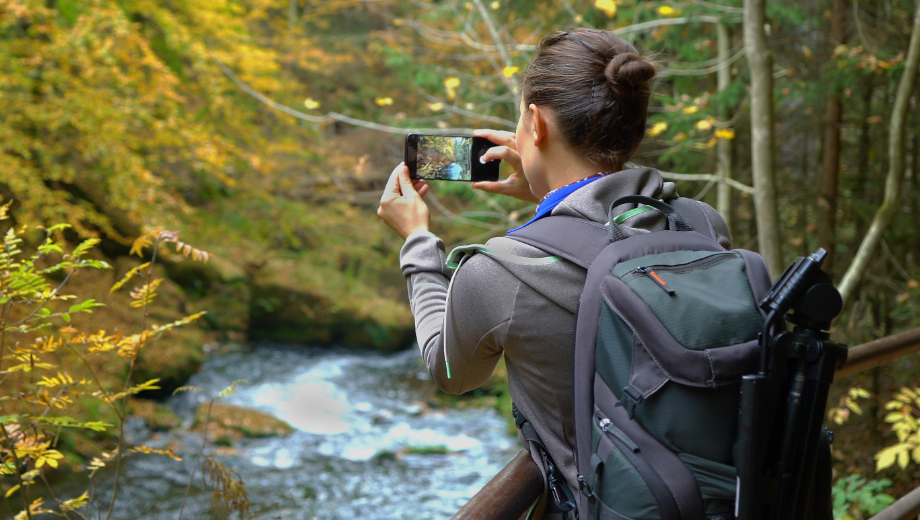 Vrouw in het bos bezig met het make van foto's tijdens de clinic natuur fotografie. - Oxtarn Clinics & Adventures.