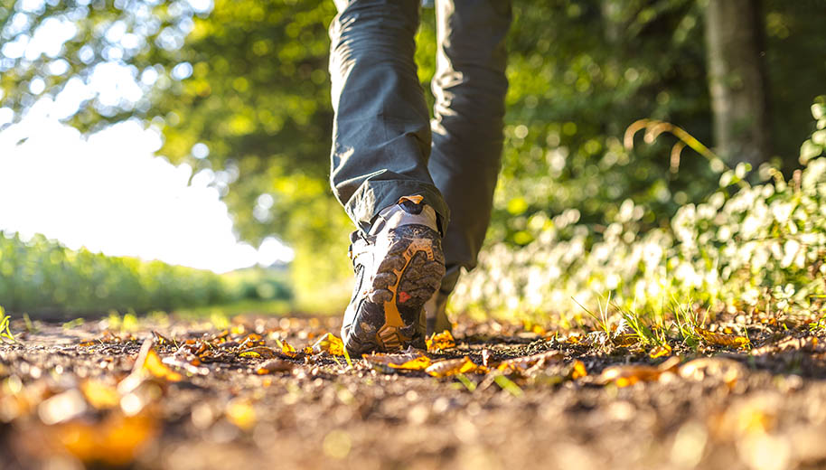 Voetstappen in het bos tijdens wandelingen Close-up van een man bezig met avontuurlijke wandelingen en natuurtocht door het bos en de natuur. - Oxtarn Clinics & Adventures
