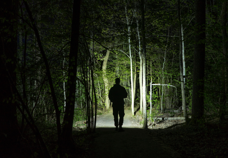 Man met zaklamp in het bos tijdens een nacht wandeling van Oxtarn. - Oxtarn Clinics & Adventures