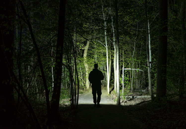 Man met zaklamp in het bos tijdens een nacht wandeling van Oxtarn. Man met zaklamp in het bos tijdens een nacht wandeling van Oxtarn. - Oxtarn Clinics & Adventures