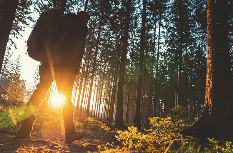 Man met rugzak, lopend door het bos tijdens een mooie natuur wandeling tijdens zonsondergang. - Oxtarn Clinics & Adventures