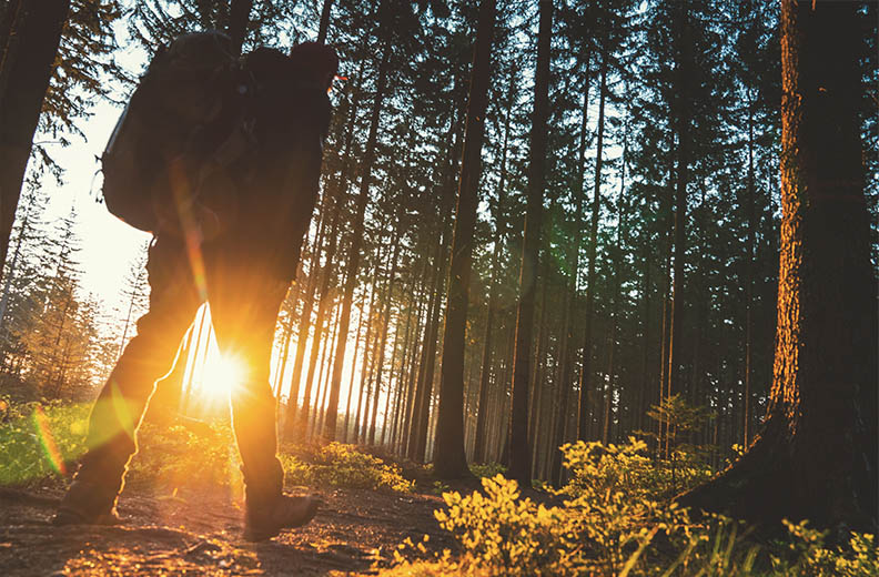 Man tijdens een wandeling bij zonsondergang in het bos Man met rugzak, lopend door het bos tijdens een mooie natuur wandeling tijdens zonsondergang. - Oxtarn Clinics & Adventures